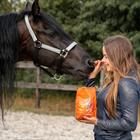 Paardensnoepjes Epplejeck EJCarrotlicious Oranje
