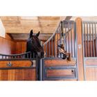 Paardenspeeltje Kentucky Relax Bruin