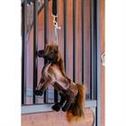 Paardenspeeltje Kentucky Relax Bruin
