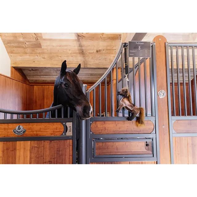 Paardenspeeltje Kentucky Relax Bruin