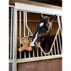 Paardenspeeltje LeMieux Gingerbread Bruin