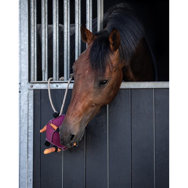 Paardenspeeltje QHP Bal Roze