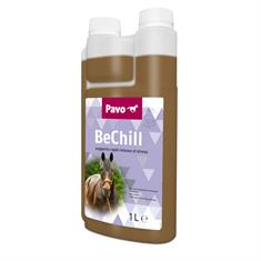 Pavo BeChill 