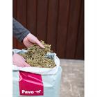 Pavo DailyPlus 12kg 