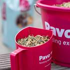 Pavo DailyPlus 12kg 