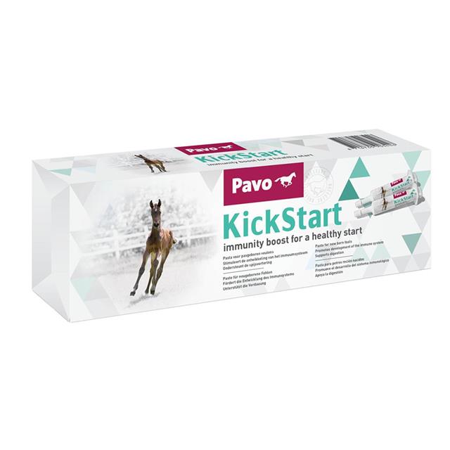 Pavo KickStart 