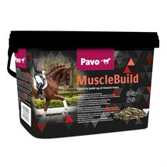 Pavo MuscleBuild Overige