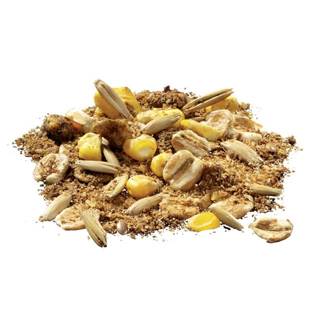 Pavo SlobberMash 15kg 