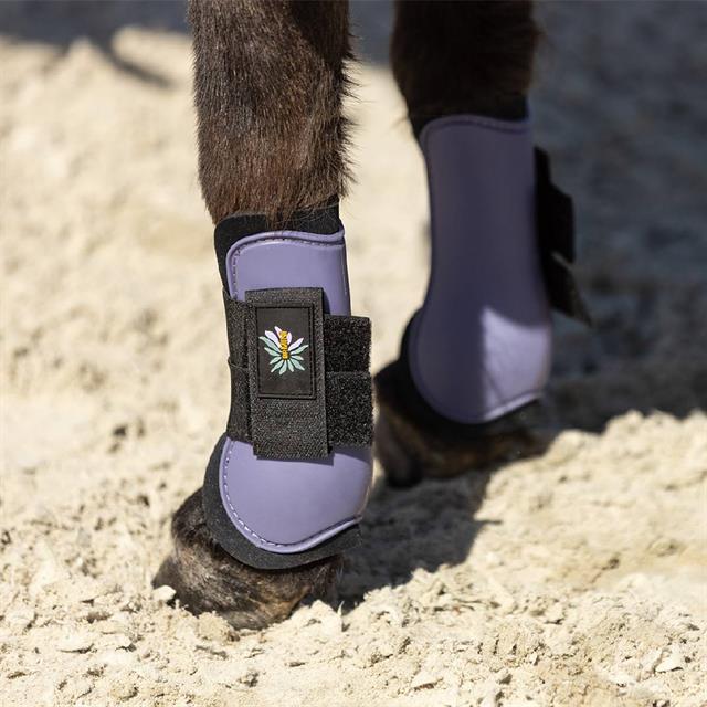Peesbeschermers BR Mini Horse Paars