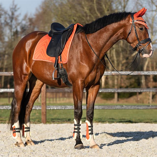 Peesbeschermers QHP Menton Oranje