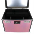 Poetsbox Imperial Riding IRHShiny Roze