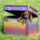 Poetsbox Imperial Riding Shiny Multicolor