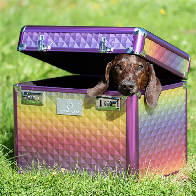 Poetsbox Imperial Riding Shiny Multicolor