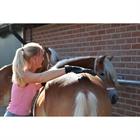 Poetshandschoen HORSEGEAR HGScrub Zwart