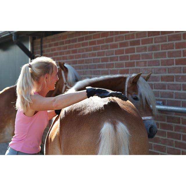 Poetshandschoen HORSEGEAR HGScrub Zwart