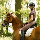 Polo BR Inne Donkerpaars