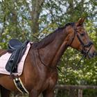 Puff Pad QHP Super Grip Lichtroze