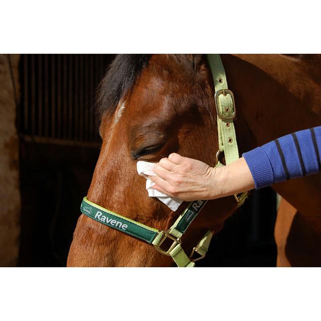 Ravene Cleaning Wipes Easy Shine 25st 