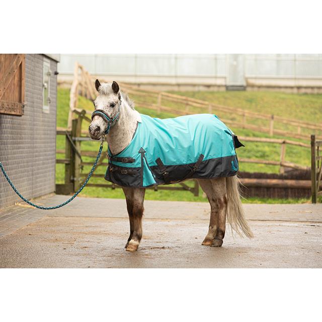 Regendeken Harry's Horse Stout Beryl 0gr Blauw