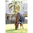 Regendeken Horseware Amigo 1200D 0gr Donkerblauw-grijs