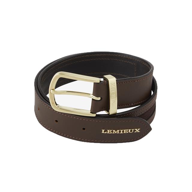 Riem LeMieux Suède Insert Bruin