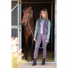 Rijlegging Harry's Horse Just Ride Provence Full Grip Paars