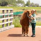 Rijlegging Harry's Horse LouLou Daisy Full Grip Kids Groen