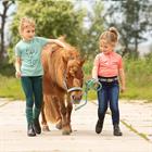 Rijlegging Harry's Horse LouLou Elodie Full Grip Kids Denim