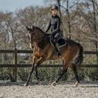 Rijlegging HORKA Perfection Equestrian Pro Full Grip Zwart