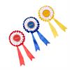 Rozetten LeMieux Stokpaardje Hobby Horse 3-Pack Multicolor