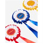 Rozetten LeMieux Stokpaardje Hobby Horse 3-Pack Multicolor