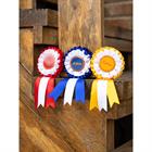 Rozetten LeMieux Stokpaardje Hobby Horse 3-Pack Multicolor
