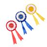 Rozetten LeMieux Stokpaardje Hobby Horse 3-Pack Multicolor