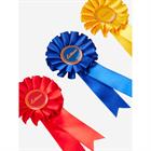 Rozetten Set LeMieux Toy Pony 3-Pack Multicolor
