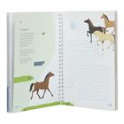 Ruiterbrevetten Boek Rozet 1 
