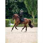 Shirt Equestrian Stockholm Dynamic Base Layer Dark Ocean Donkerblauw-donkergrijs