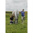 Shirt Equithème Je t'aime Rosalie Paars