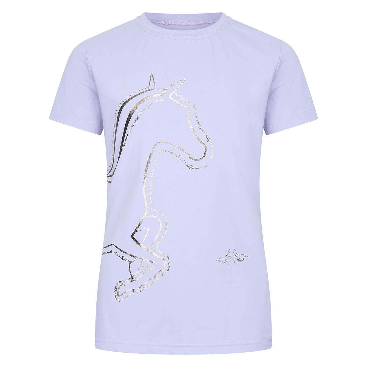 Shirt Hv Polo Hvplaurelle Kids Paars, 176 in paars