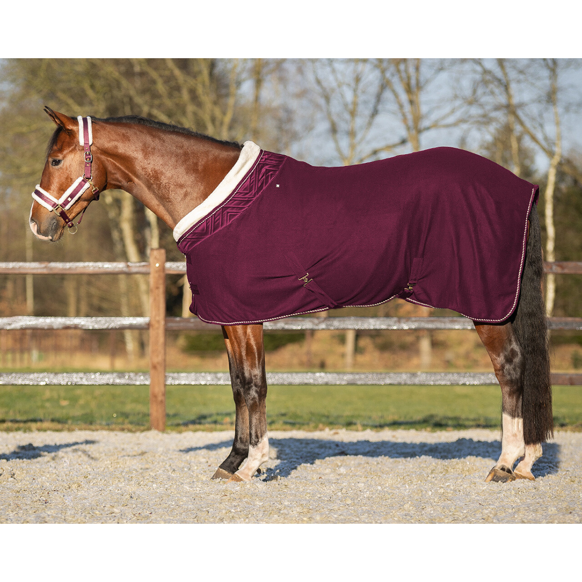 Showdeken Qhp Menton Donkerrood, 165 cm in donkerrood