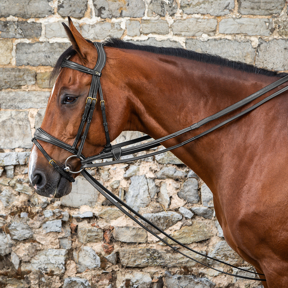 Dy on Rênes en cuir - Black - Maat Pony