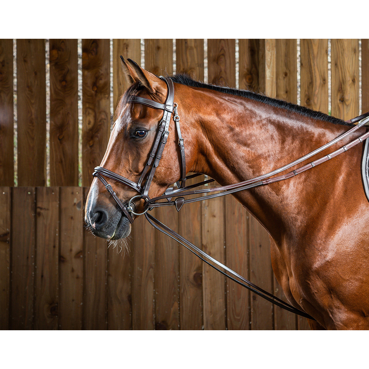 Dy on Hunter Draw Reins 1/2 - Brown - Maat Cob