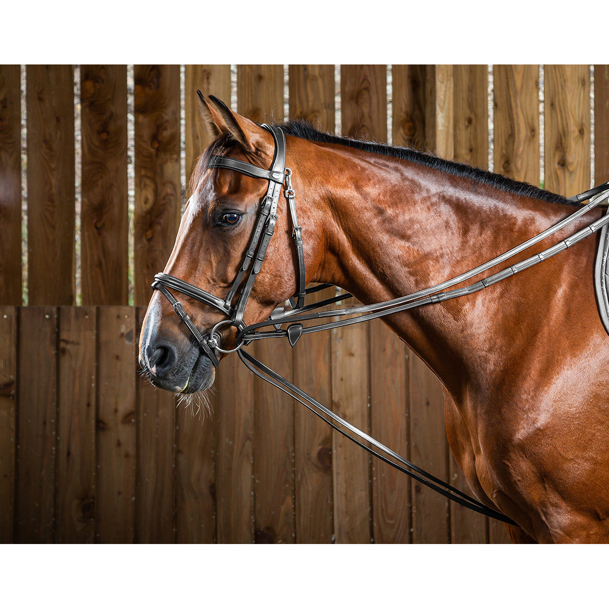 Dy on Hunter Draw Reins 1/2 - Black - Maat Pony