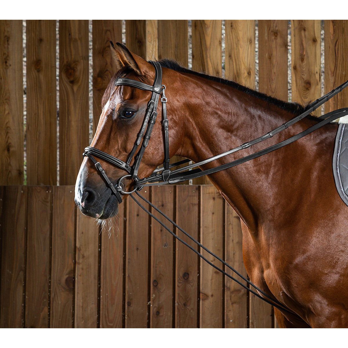 Dy on Leather/Nylon Draw Reins 5/8 (13mm) Working - Black - Maat Pony