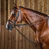 Slofteugels Dy'on Working Collection Leer Bruin