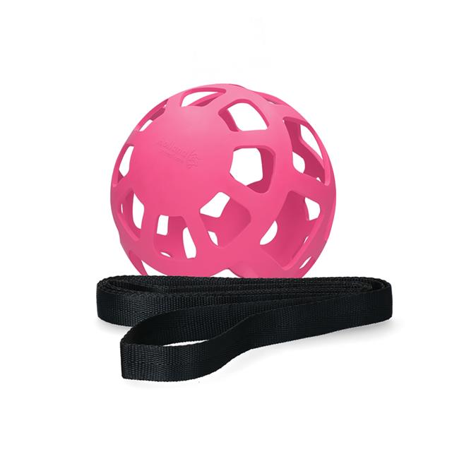Slowfeeder HoFMan Fun En Flex Roze