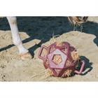 Slowfeeder Kentucky Speelbal Relax Horse Donkerrood