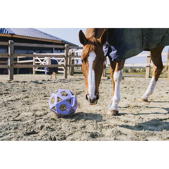 Slowfeeder Kentucky Speelbal Relax Horse Lichtpaars