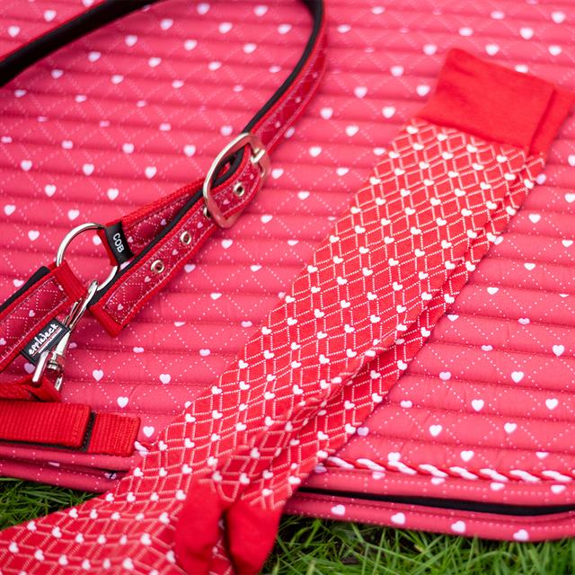 Sokken Epplejeck EJValentine Rood