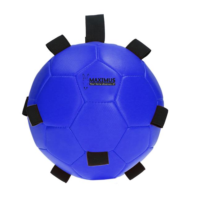 Speelbal Maximus Fun Play Ball Blauw