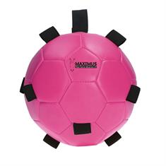 Speelbal Maximus Fun Play Ball Roze